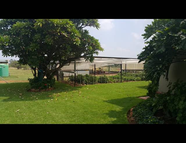 21.40HA FARM FOR SALE IN WAAGFONTEIN